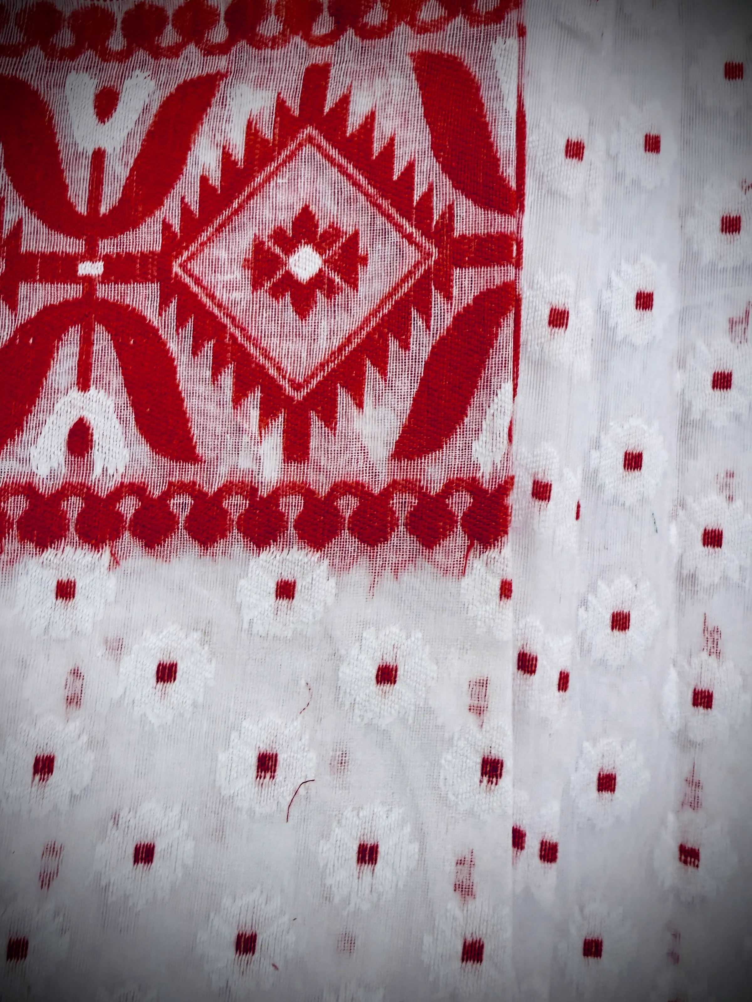 Close-up of a Dhakai jamdani saree's woven border motif and white polka-dot body against the red ikat diamond field.